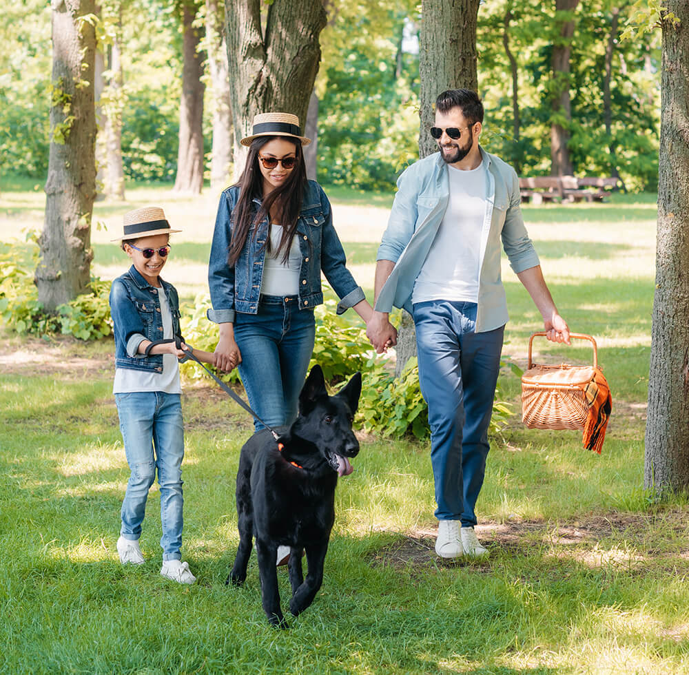 Family Sunglasses